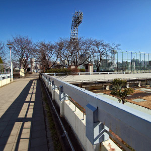 新宿区立落合中央公園